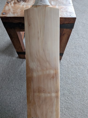 Gray nicolls star rapier - gray,
