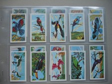 Unusual FULL SET Browne's Tea
