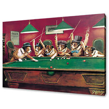 Cassius Marcellus Coolidge