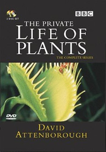 David attenborough the - attenborough,