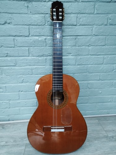 Authentic spanish guitar - authentic,