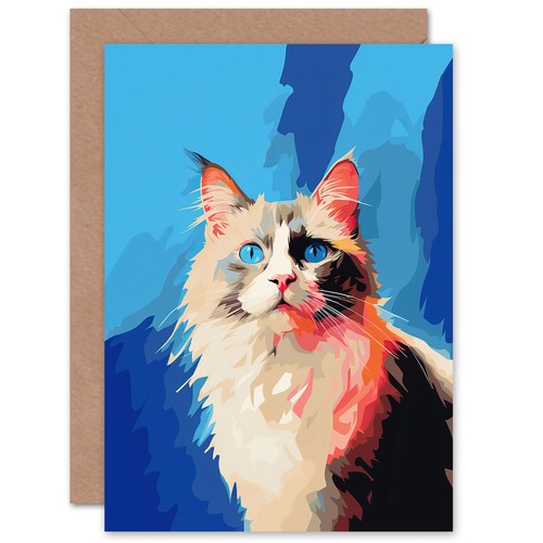 Seal point ragdoll cat blue - point,
