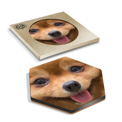 Hexagon coaster cute - 1,