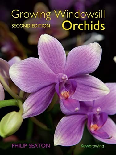 Growing windowsill orchids - windowsill,