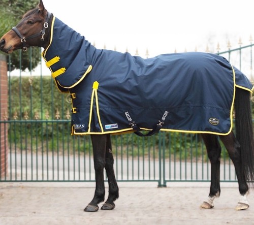 Gallop 600d trojan - gallop,