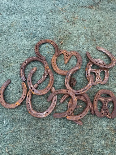 Real used horseshoes - ,