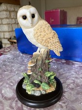 Rare Border Fine Arts Studio Sitting Barn Owl A7392 2006 Mint