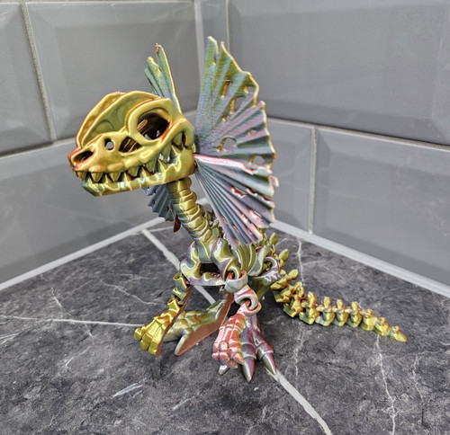 Skeleton dilophosaurus - skeleton,