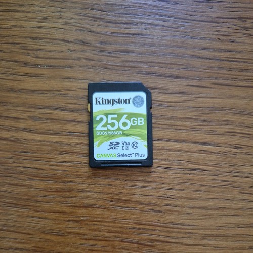 Kingston 256gb canvas - 256gb,