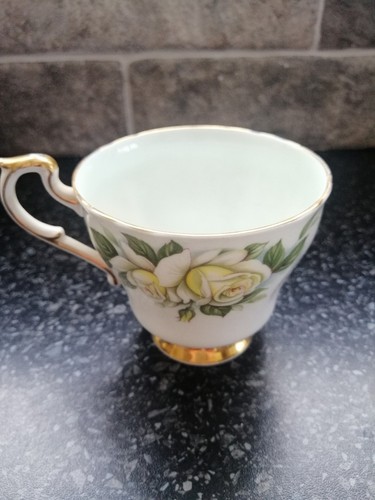 Paragon fine bone - bone, china