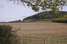 Photo 6x4 Stubble and straw