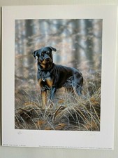 Dog Art Print Loyalty (Rottweiler) by Paul Doyle signed limited edition 