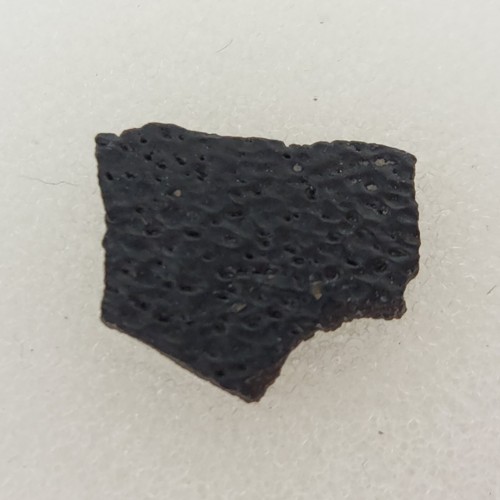 Hadrosaur egg shell fossil - hadrosaur,