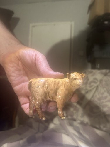 Beswick highland calf 1827d - highland,