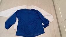 Ice hockey players blue and