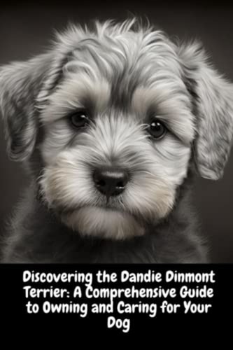 Discovering the dandie dinmont - the,