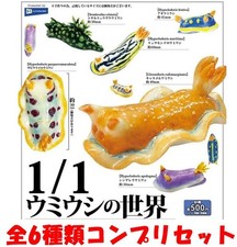11 Sea Slug World Complete Set