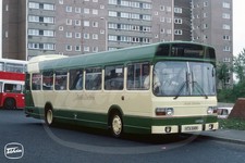 Bus Photo - North Eastern