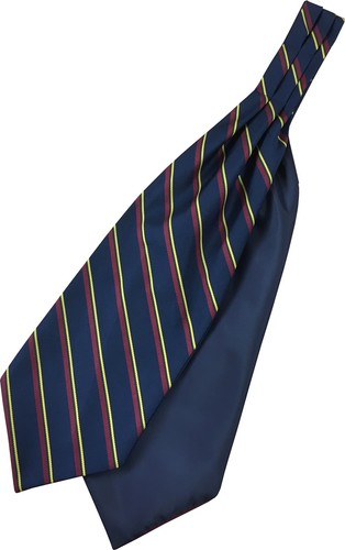 Royal marines regimental ascot - regimental,
