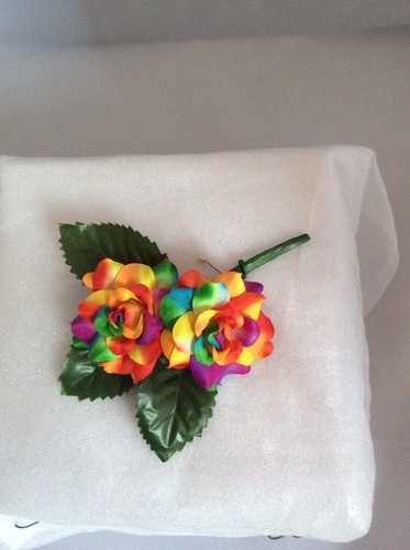 Rainbow multi coloured - rainbow,