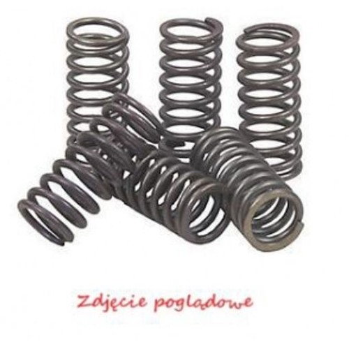 For ebc polska - ebc, z