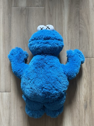 New with tags - kaws, x