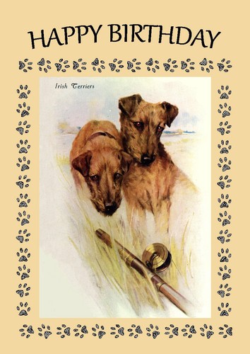 Irish terrier dog birthday - irish,
