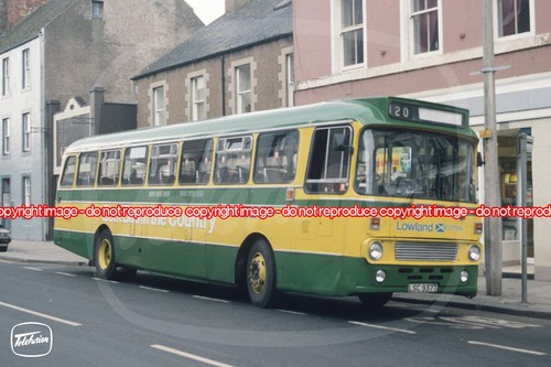 Bus photo lowland - photo,