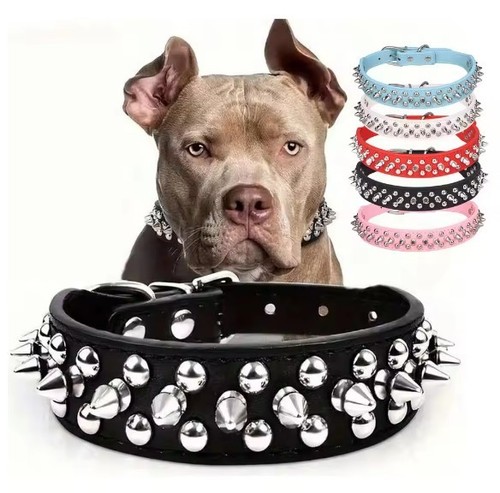 Spiked studded leather dog - spiked,