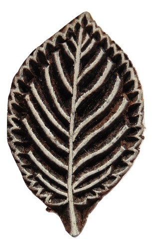 Beech leaf floral - leaf, 3.7