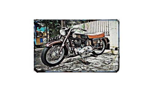 Ariel red hunter - ariel,