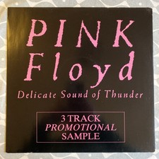 PINK FLOYD - Delicate Sound