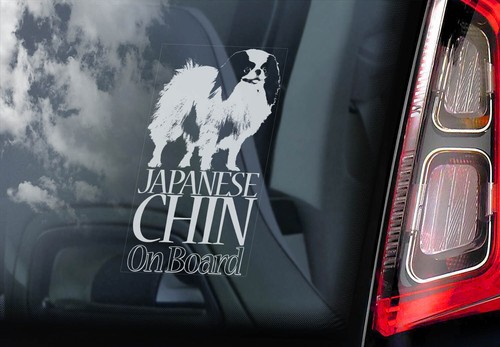 Japanese chin board car - japanese,