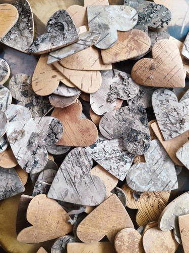 200 birch wood bark - birch,
