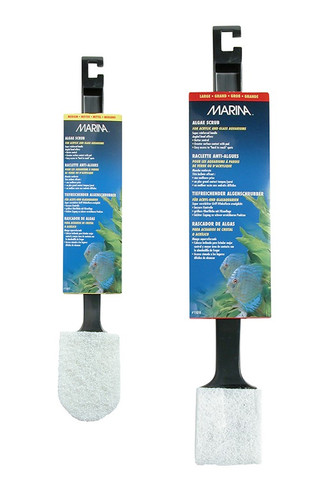 Marina aquarium algae - marina,