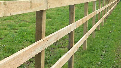 50m paddock fencing - 50m,