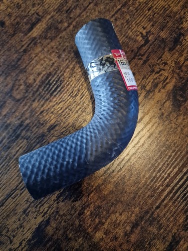 Radiator hose lower - hose,