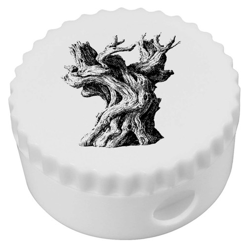 Old olive tree - 'old,