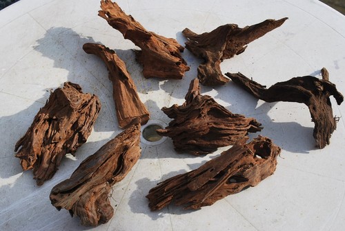Random bogwood - random,