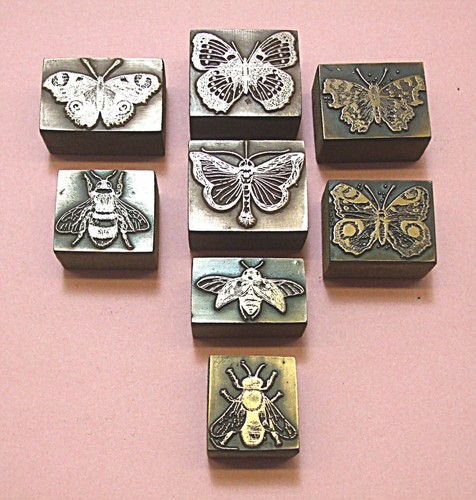 Butterflies bees print - &,