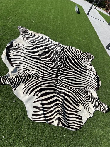 Real zebra skin - real, from