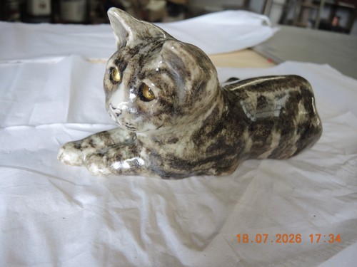 Winstanley cat size grey - cat,