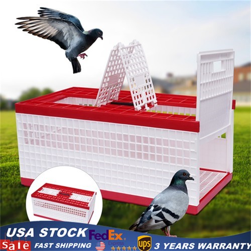Racing pigeon carrier box - racing,