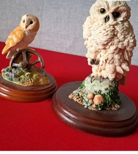 Border fine arts owls in - border,