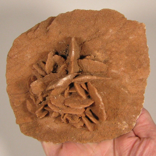 Gypsum selenite desert - gypsum,