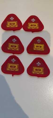 Vintage cub badge - cub,