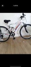 Adult Mountain Bike