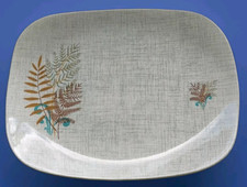 J & G Meakin 12.5 " Rock Fern