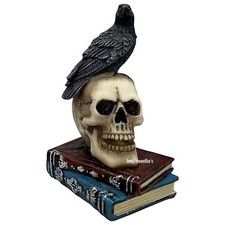 Skull With Raven On Books Crow