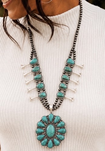 Western turquoise squash - western,